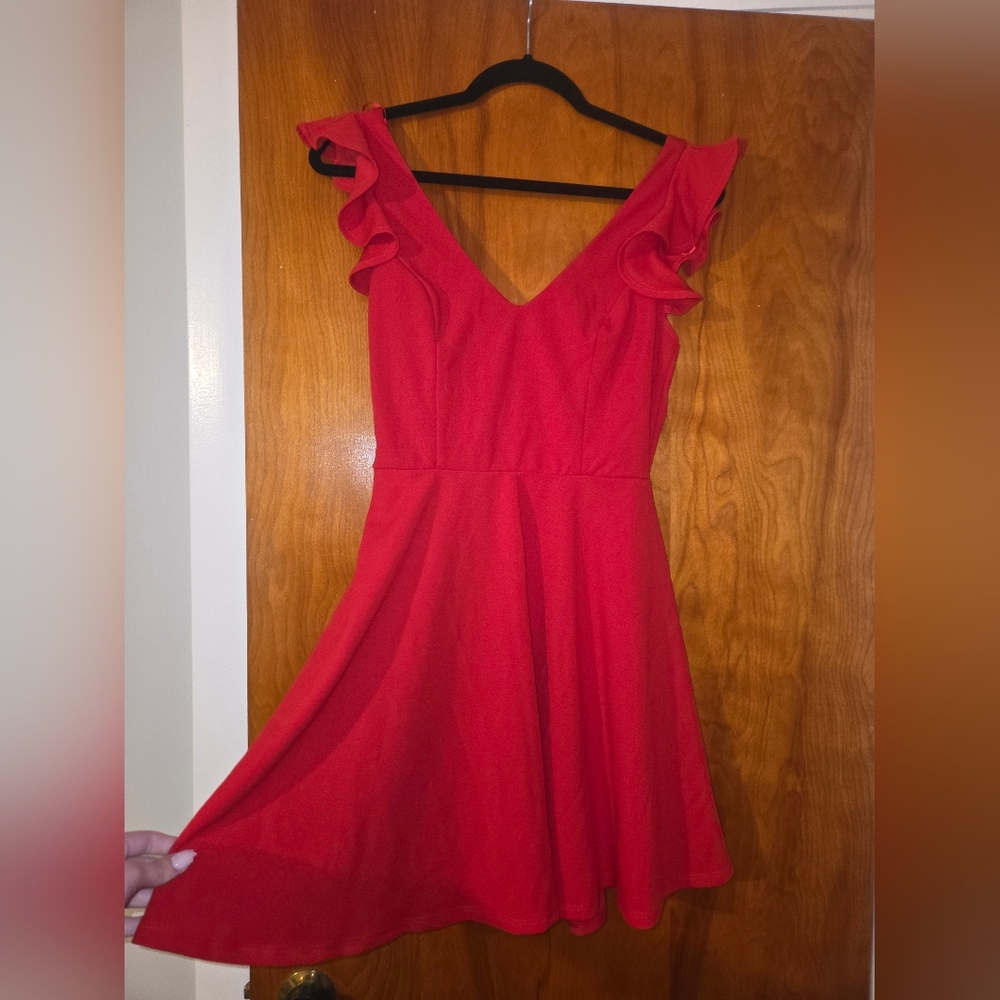 Francesca's Collections Vibrant Red Mini Dress